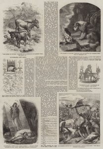 Livros de presente ilustrados